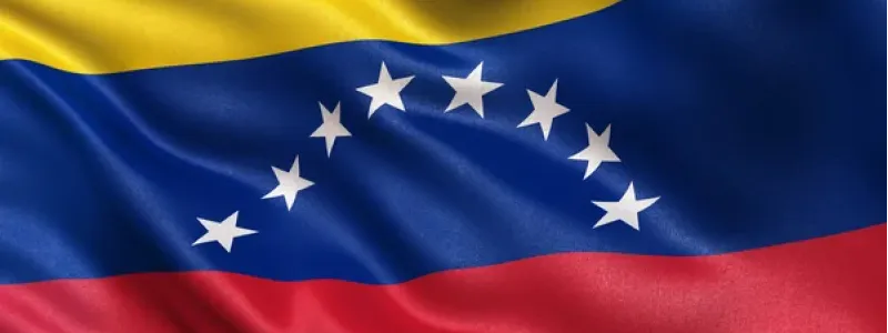 Día Nacional de Venezuela